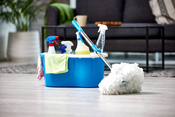 Beyond Clean: Jacksonville’s Professional Cleaning Specialists